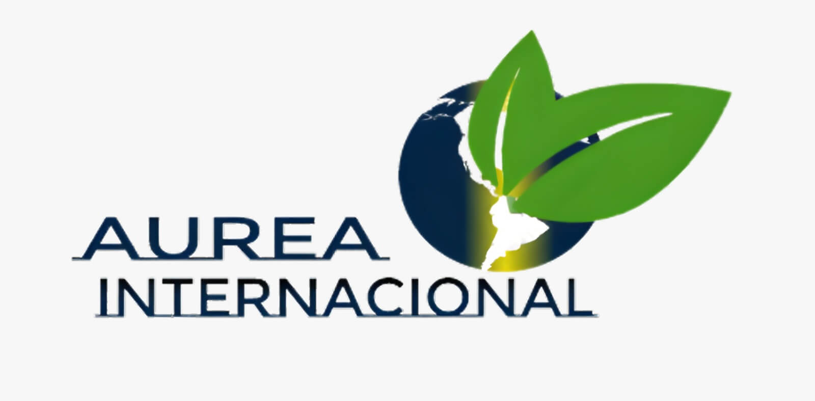 Aurea Internacional Agronegocios